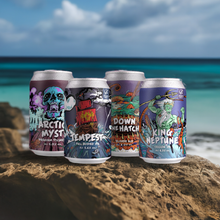 Load image into Gallery viewer, The Full Bosuns Box - Mix of 12 x 330ML Cans